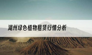 湖州绿色植物租赁行情分析