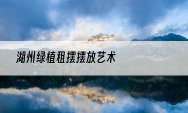 湖州绿植租摆摆放艺术