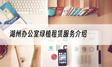 湖州办公室绿植租赁服务介绍
