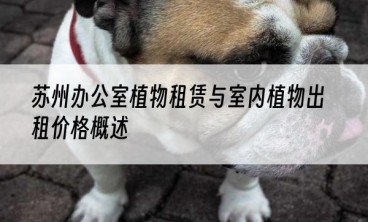 苏州办公室植物租赁与室内植物出租价格概述