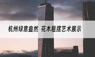 杭州绿意盎然花木租摆艺术展示
