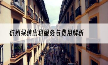 杭州绿植出租服务与费用解析