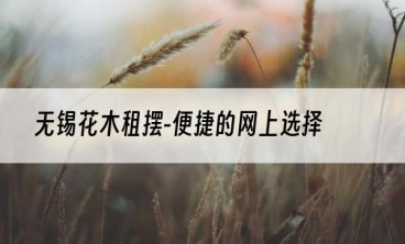 无锡花木租摆-便捷的网上选择