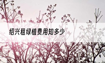 绍兴租绿植费用知多少