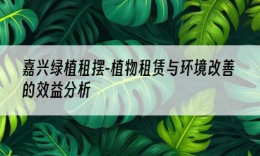 嘉兴绿植租摆-植物租赁与环境改善的效益分析