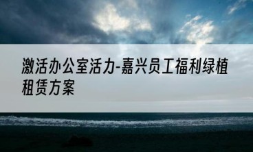 激活办公室活力-嘉兴员工福利绿植租赁方案