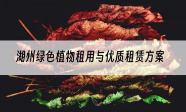 湖州绿色植物租用与优质租赁方案