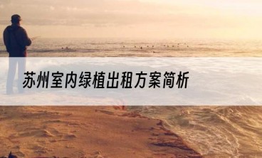 苏州室内绿植出租方案简析