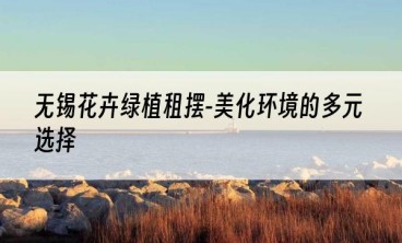 无锡花卉绿植租摆-美化环境的多元选择