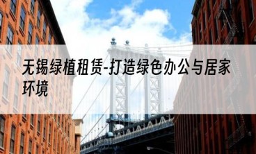 无锡绿植租赁-打造绿色办公与居家环境