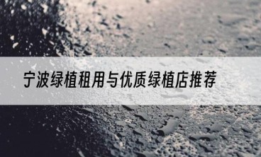 宁波绿植租用与优质绿植店推荐