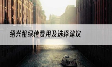 绍兴租绿植费用及选择建议