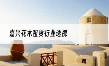 嘉兴花木租赁行业透视