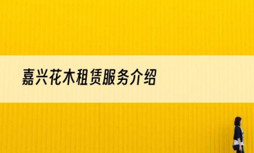 嘉兴花木租赁服务介绍