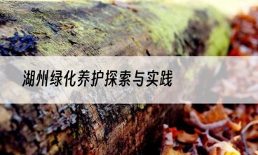 湖州绿化养护探索与实践