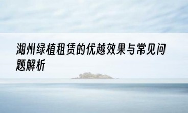 湖州绿植租赁的优越效果与常见问题解析