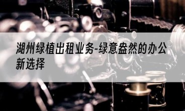 湖州绿植出租业务-绿意盎然的办公新选择