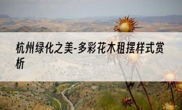 杭州绿化之美-多彩花木租摆样式赏析