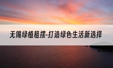 无锡绿植租摆-打造绿色生活新选择