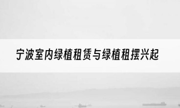 宁波室内绿植租赁与绿植租摆兴起