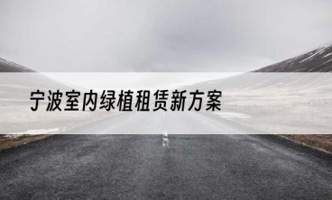 宁波室内绿植租赁新方案