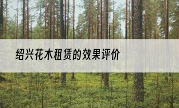绍兴花木租赁的效果评价