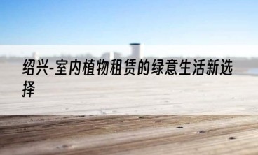 绍兴-室内植物租赁的绿意生活新选择