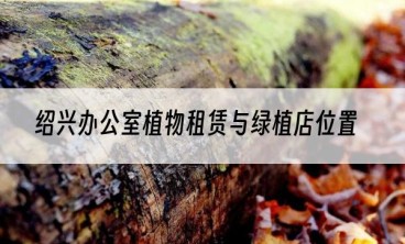 绍兴办公室植物租赁与绿植店位置