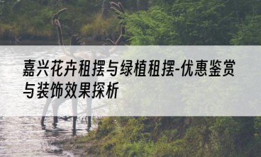 嘉兴花卉租摆与绿植租摆-优惠鉴赏与装饰效果探析