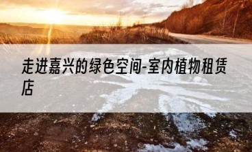 走进嘉兴的绿色空间-室内植物租赁店