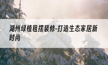 湖州绿植租摆装修-打造生态家居新时尚