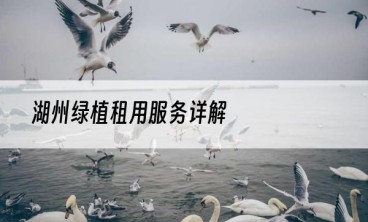 湖州绿植租用服务详解