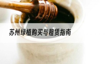 苏州绿植购买与租赁指南