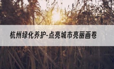 杭州绿化养护-点亮城市亮丽画卷