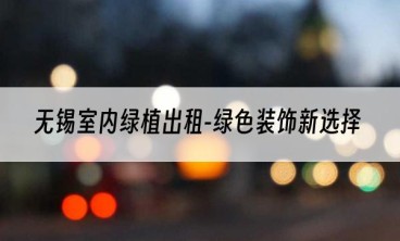 无锡室内绿植出租-绿色装饰新选择