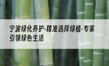 宁波绿化养护-精准选择绿植-专家引领绿色生活