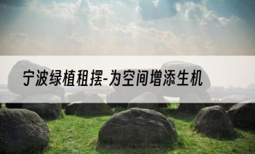 宁波绿植租摆-为空间增添生机