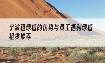 宁波租绿植的优势与员工福利绿植租赁推荐