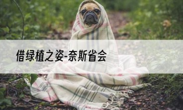 借绿植之姿-奈斯省会