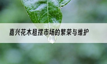 嘉兴花木租摆市场的繁荣与维护