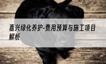 嘉兴绿化养护-费用预算与施工项目解析