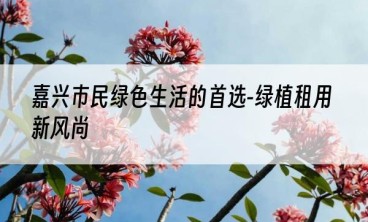 嘉兴市民绿色生活的首选-绿植租用新风尚