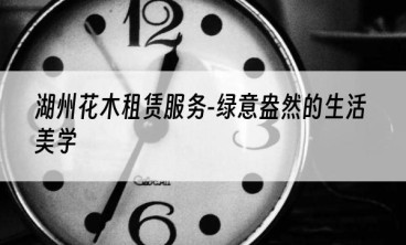 湖州花木租赁服务-绿意盎然的生活美学