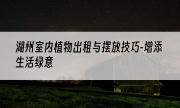 湖州室内植物出租与摆放技巧-增添生活绿意