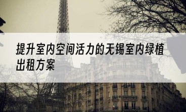 提升室内空间活力的无锡室内绿植出租方案