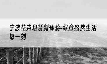 宁波花卉租赁新体验-绿意盎然生活每一刻