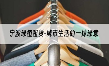 宁波绿植租赁-城市生活的一抹绿意