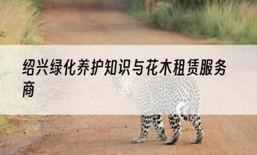 绍兴绿化养护知识与花木租赁服务商
