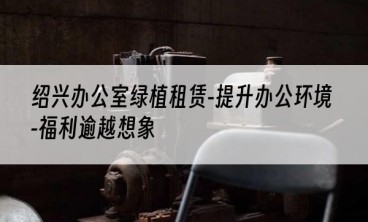 绍兴办公室绿植租赁-提升办公环境-福利逾越想象