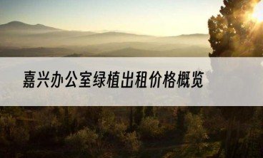 嘉兴办公室绿植出租价格概览